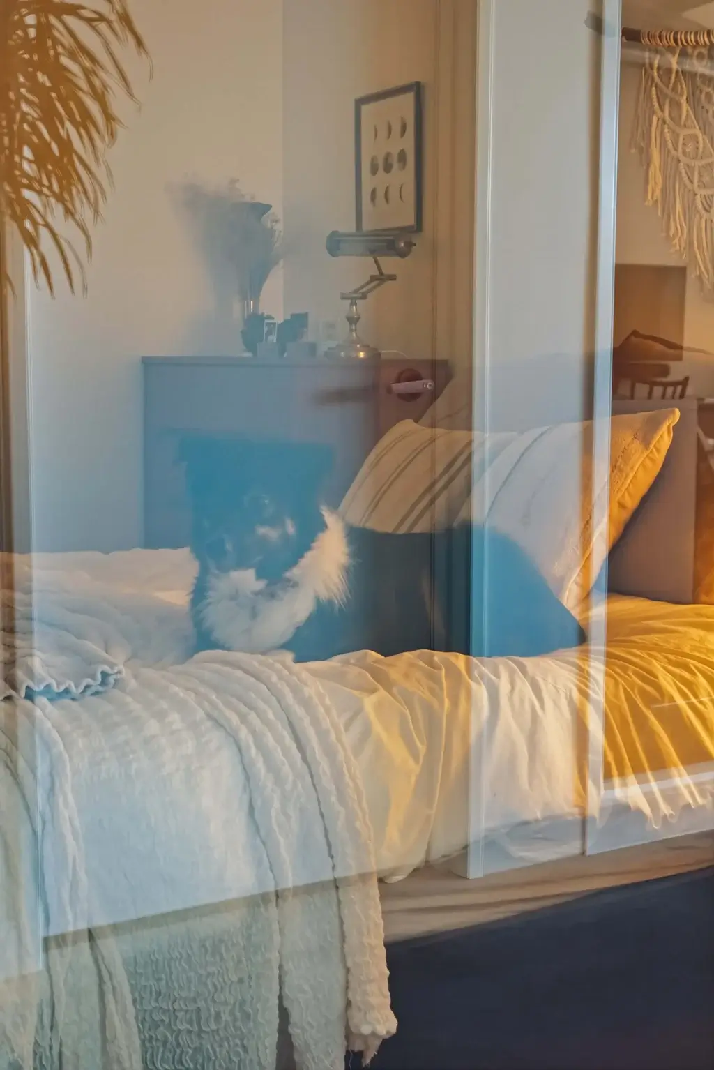 7ffcdfc7 109a 4697 adbc 93f972ced9ae